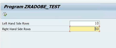 17.Adobe Form_Subform_Test_Selection Screen